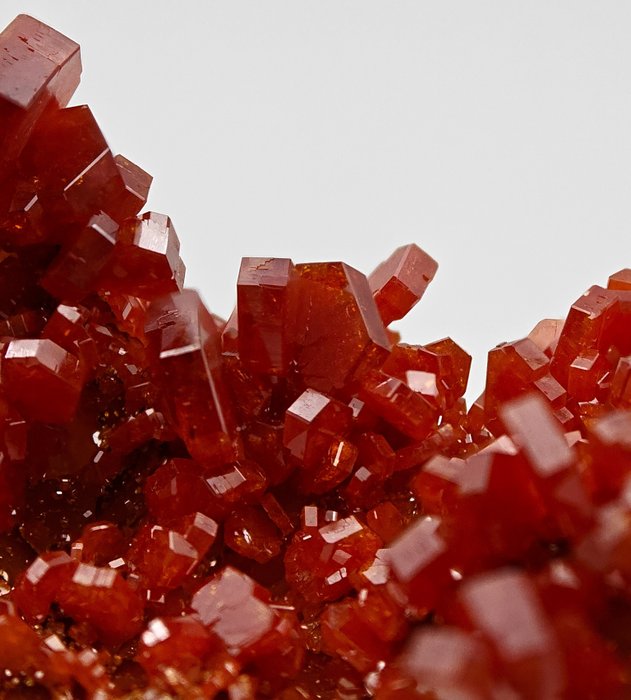 Tormenta de vanadinite rojo sangre sobre barita amarilla Cristales sobre matriz - Altura: 82 mm - Ancho: 41 mm- 85 g — foto 2