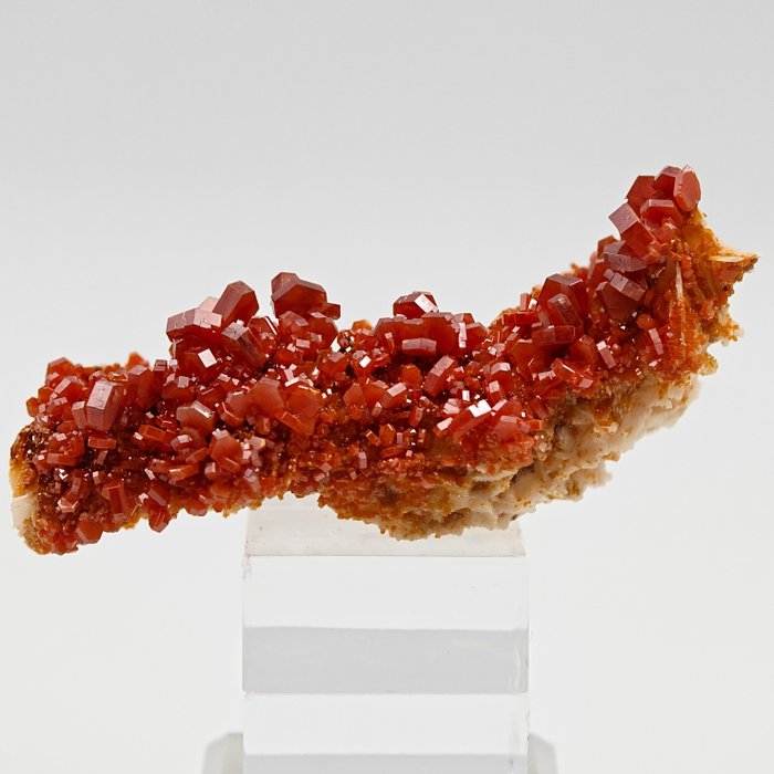 Tormenta de vanadinite rojo sangre sobre barita amarilla Cristales sobre matriz - Altura: 82 mm - Ancho: 41 mm- 85 g — foto 7