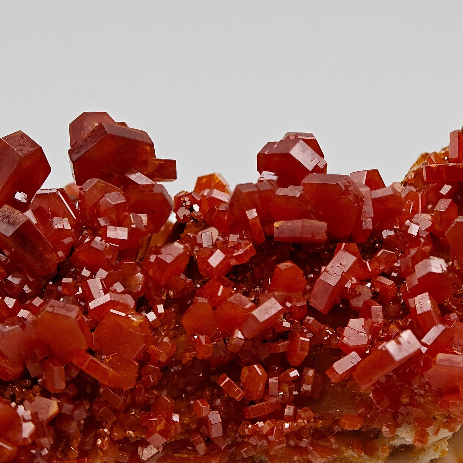 Tormenta de vanadinite rojo sangre sobre barita amarilla Cristales sobre matriz - Altura: 82 mm - Ancho: 41 mm- 85 g — foto 8