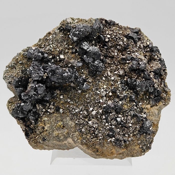 Cuarzo esfalerita negra sobre pirita dorada y cuarzos, Rumanía Cristales sobre matriz - Altura: 85 mm - Ancho: 70 mm- 301 g — foto 2