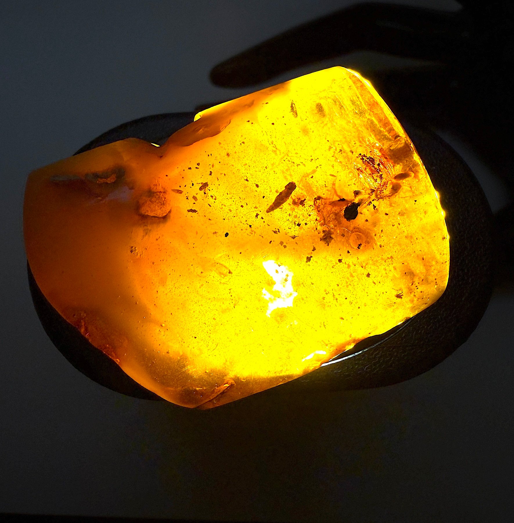 Broche art déco con gran ámbar báltico natural con inclusiones. - Ámbar - Baltic amber - Succinite  (Sin precio de reserva) — foto 2