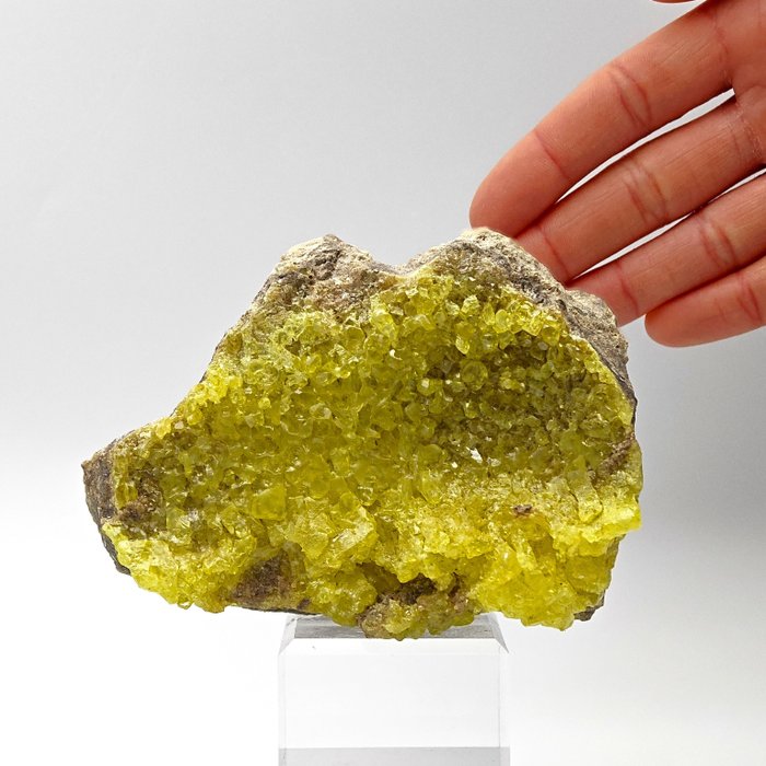 Raro azufre boliviano, cristales amarillos intensos Cristales sobre matriz - Altura: 97 mm - Ancho: 73 mm- 274 g — foto 3