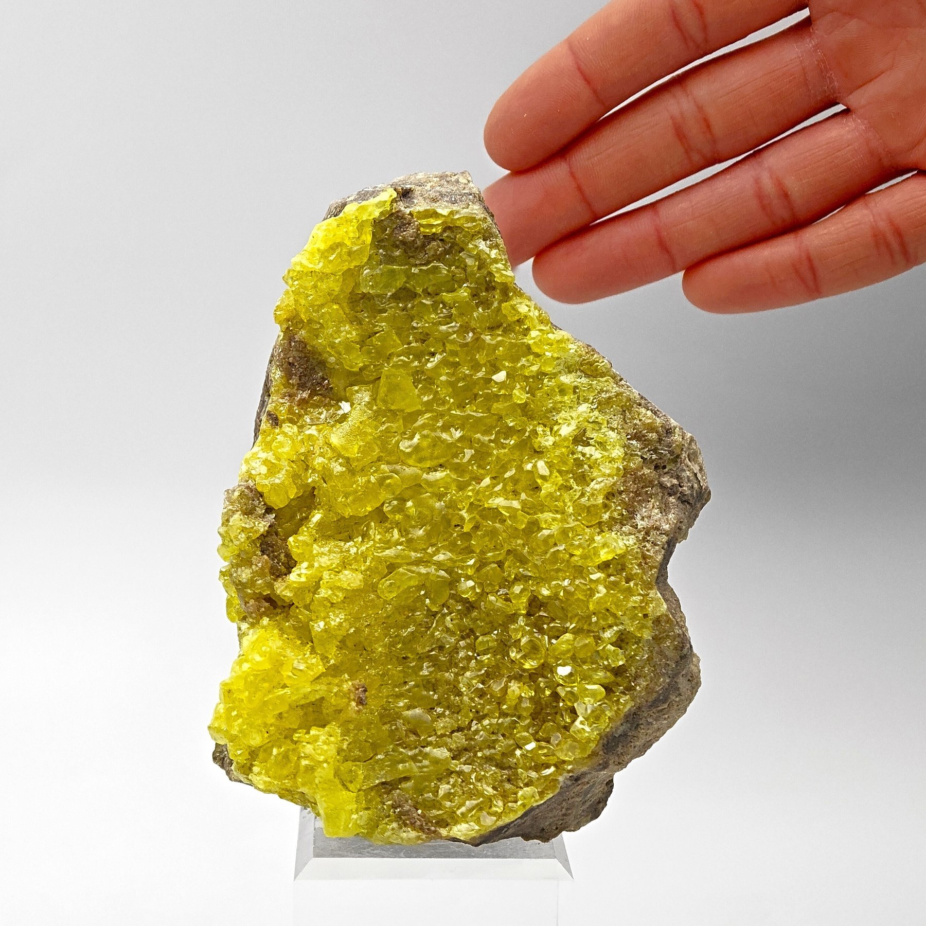 Raro azufre boliviano, cristales amarillos intensos Cristales sobre matriz - Altura: 97 mm - Ancho: 73 mm- 274 g — foto 8