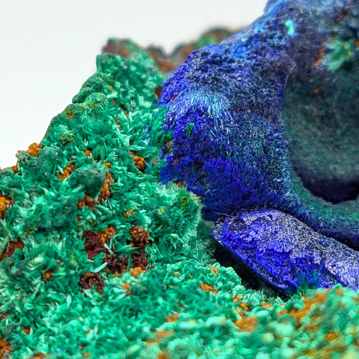 GRANDE PSEUDOMORFOSE DE AZURITA EN MALAQUITA, RARÍSIMA Cristales sobre matriz - Altura: 60 mm - Ancho: 50 mm- 130 g — foto 8