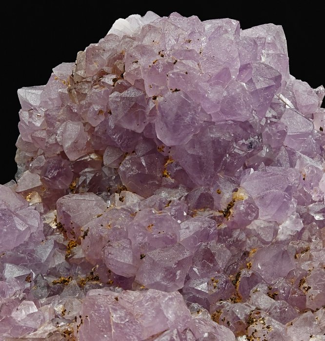 Gran amatista rosada, rarísima, Cerdeña Cristales sobre matriz - Altura: 177 mm - Ancho: 149 mm- 1226 g — foto 2