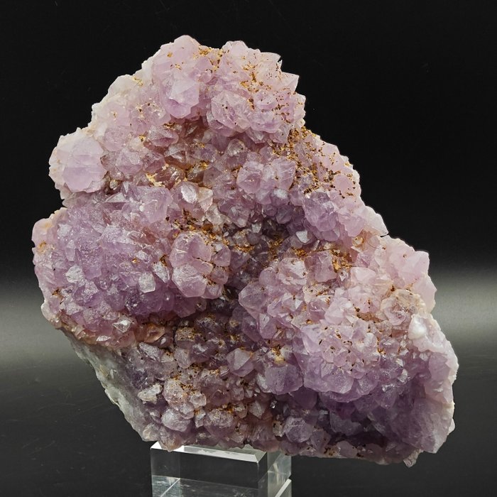 Gran amatista rosada, rarísima, Cerdeña Cristales sobre matriz - Altura: 177 mm - Ancho: 149 mm- 1226 g — foto 7