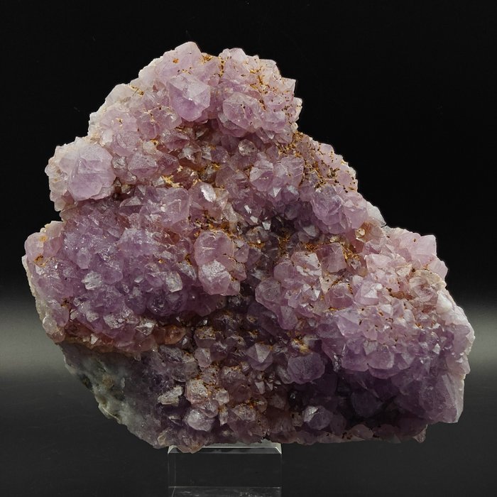 Gran amatista rosada, rarísima, Cerdeña Cristales sobre matriz - Altura: 177 mm - Ancho: 149 mm- 1226 g — foto 8