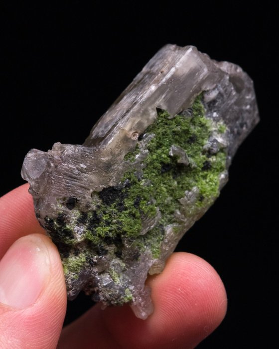 (AFRICAN CLASSIC) CERUSITA COPO DE NIEVE Con duftita - Altura: 5.3 cm - Ancho: 5 cm- 58 g - (1) — foto 7