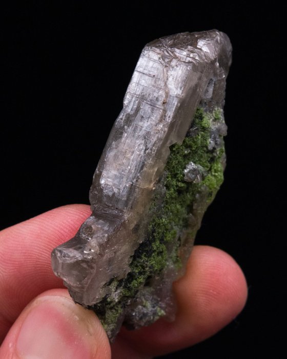 (AFRICAN CLASSIC) CERUSITA COPO DE NIEVE Con duftita - Altura: 5.3 cm - Ancho: 5 cm- 58 g - (1) — foto 8