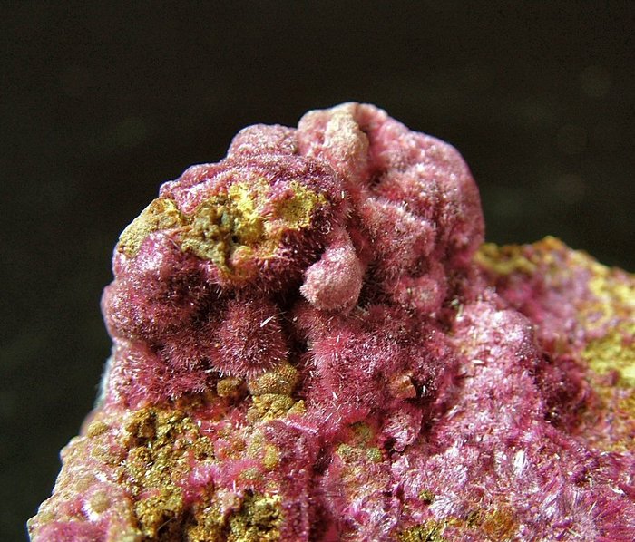 CW1990 Colorata Eritrite Cristales sobre matriz - Altura: 53 mm - Ancho: 40 mm- 117 g - (1) — foto 3