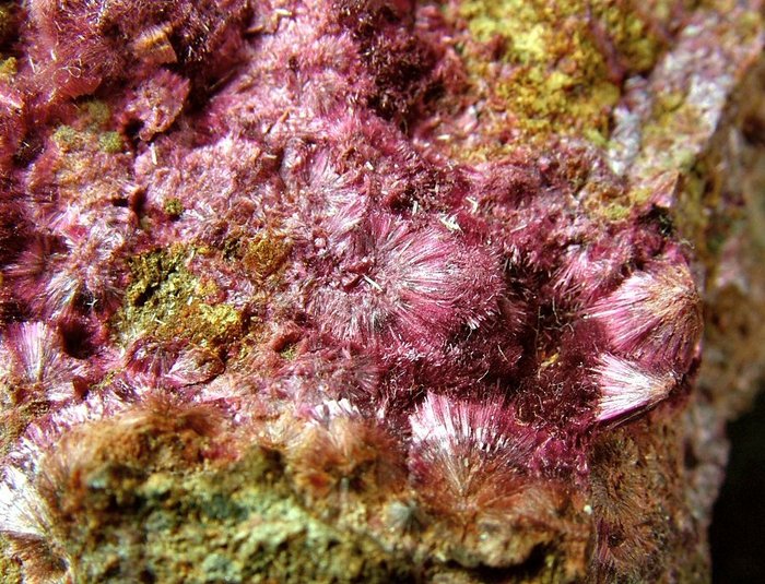 CW1990 Colorata Eritrite Cristales sobre matriz - Altura: 53 mm - Ancho: 40 mm- 117 g - (1) — foto 4