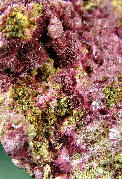 CW1990 Colorata Eritrite Cristales sobre matriz - Altura: 53 mm - Ancho: 40 mm- 117 g - (1) — foto 7