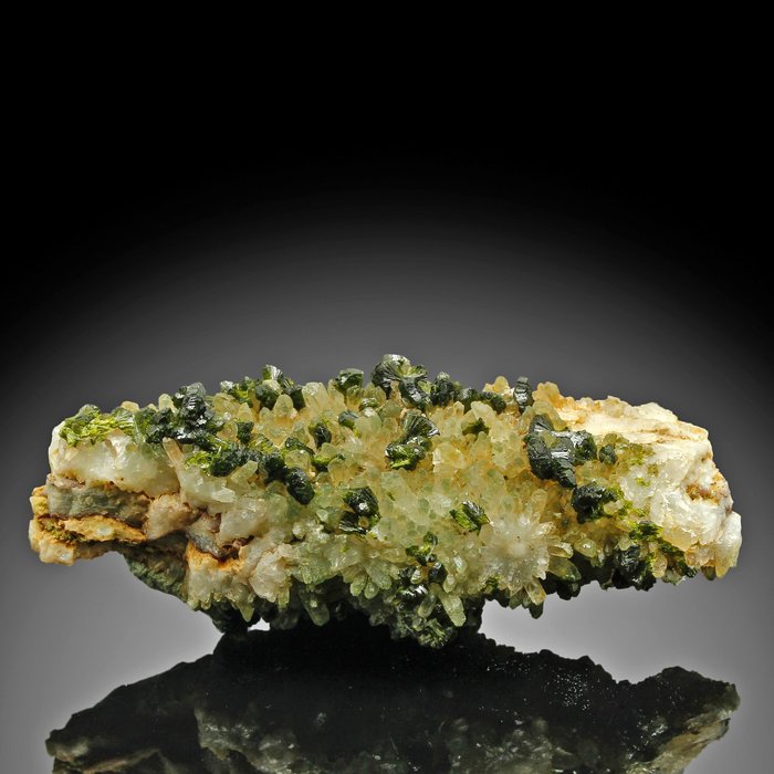 Epidota con cristales de cuarzo Cristales - Altura: 8.7 cm - Ancho: 3.6 cm- 65 g — foto 7